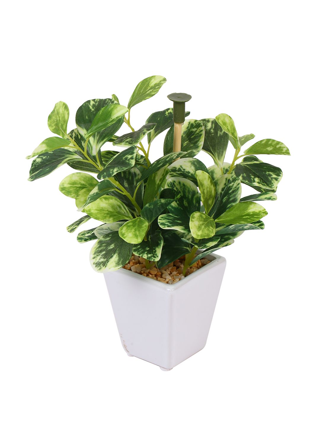 Artificial Wandering Jew Plant (19 cm)