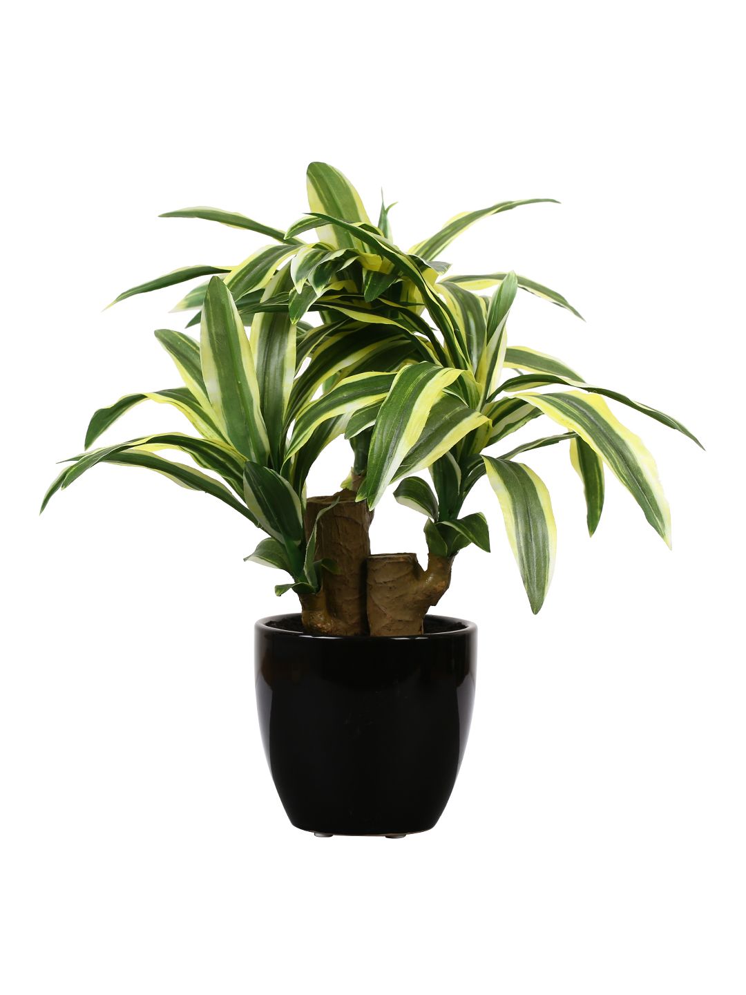 Artificial Dracaena Plant — Green/Yellow (35 cm)