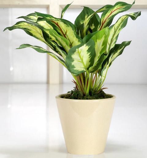 Artificial Dieffenbachia Plant — Green/Yellow (26 cm)