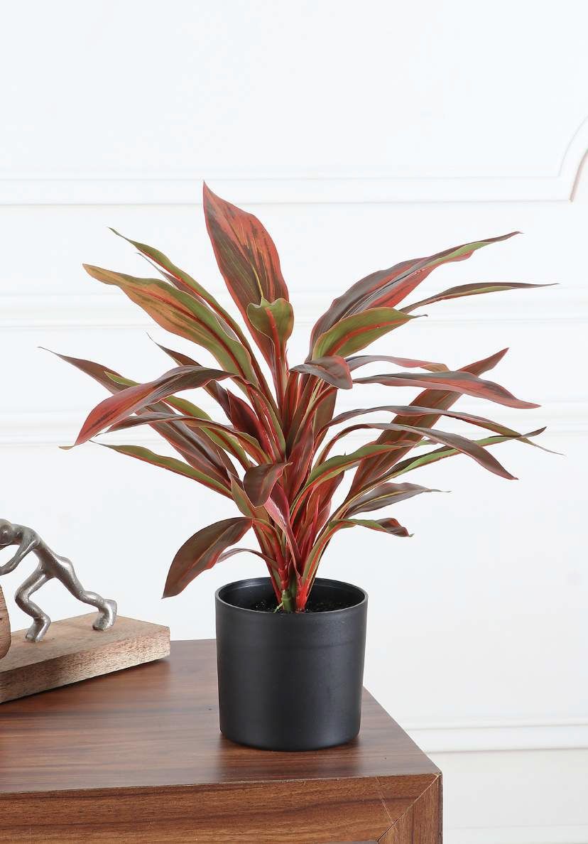 Artificial Dracaena Plant — Red (55 cm)