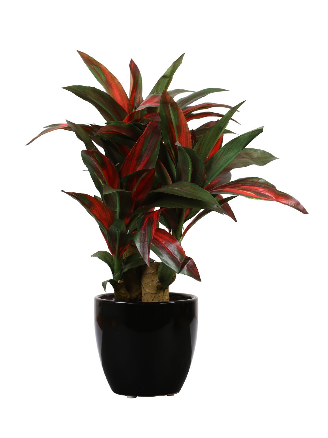 Artificial Dracaena Plant — Green/Red (35 cm)