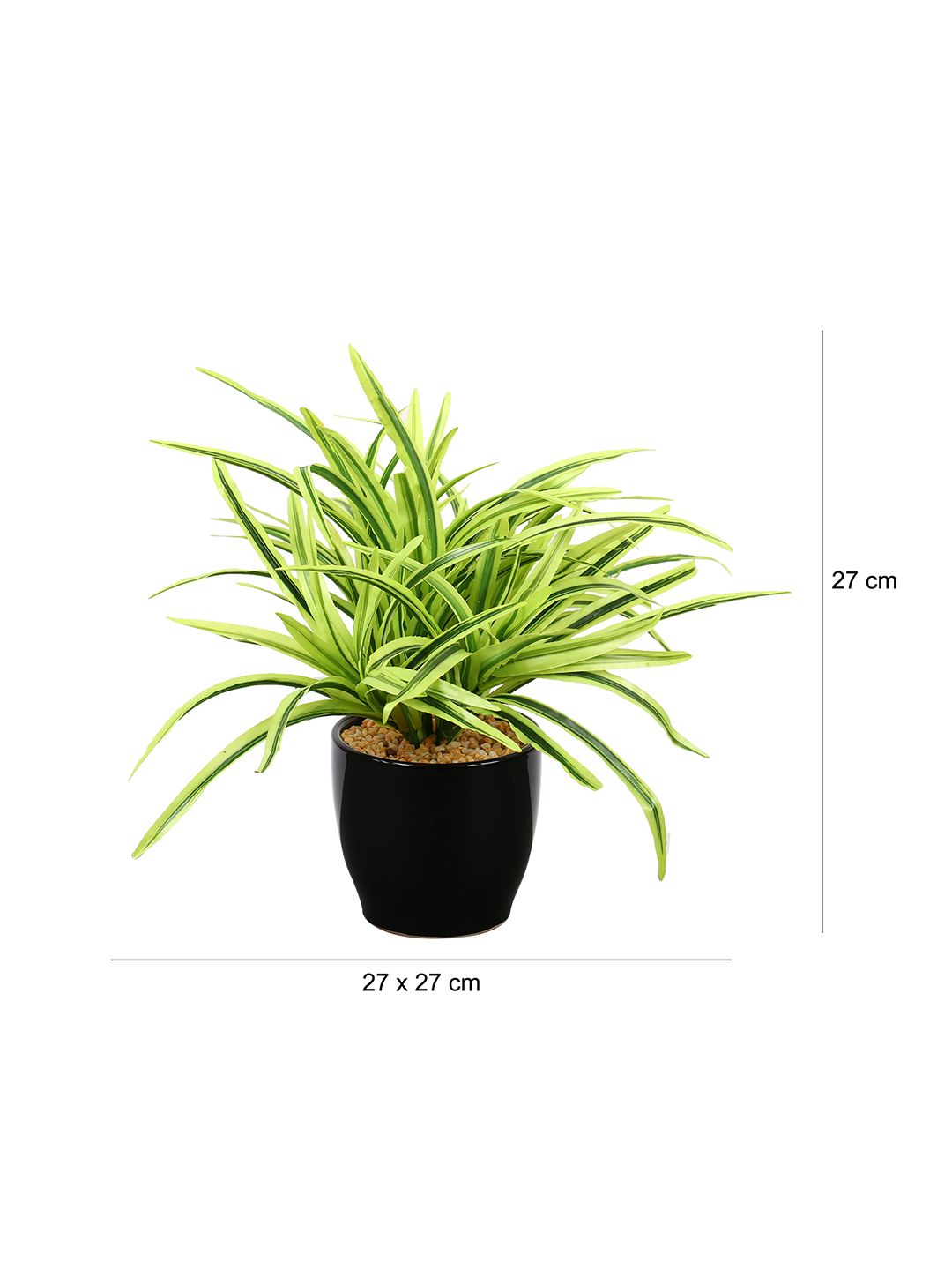 Artificial Dracaena Plant — White Leaves (27 cm)