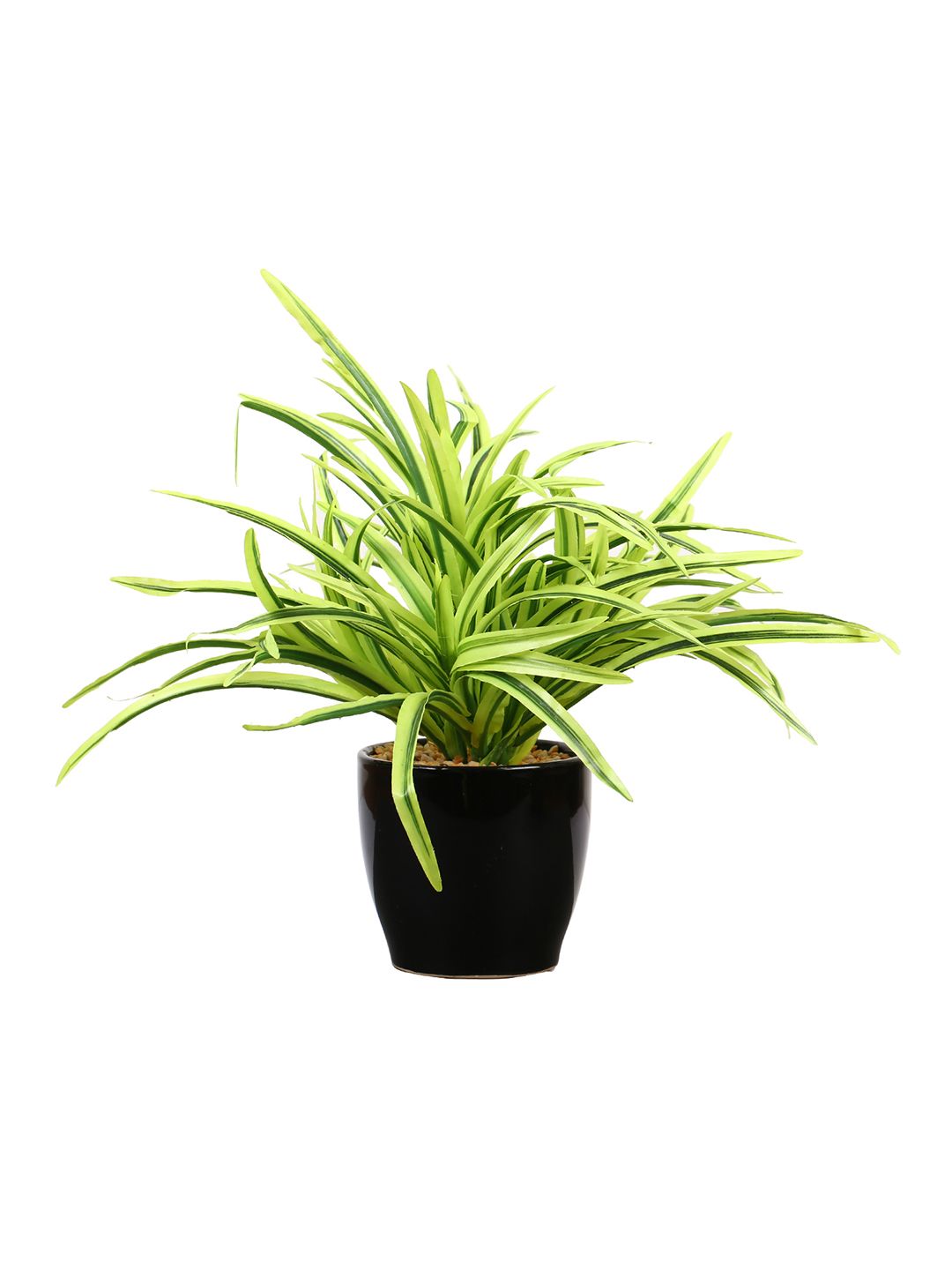 Artificial Dracaena Plant — White Leaves (27 cm)