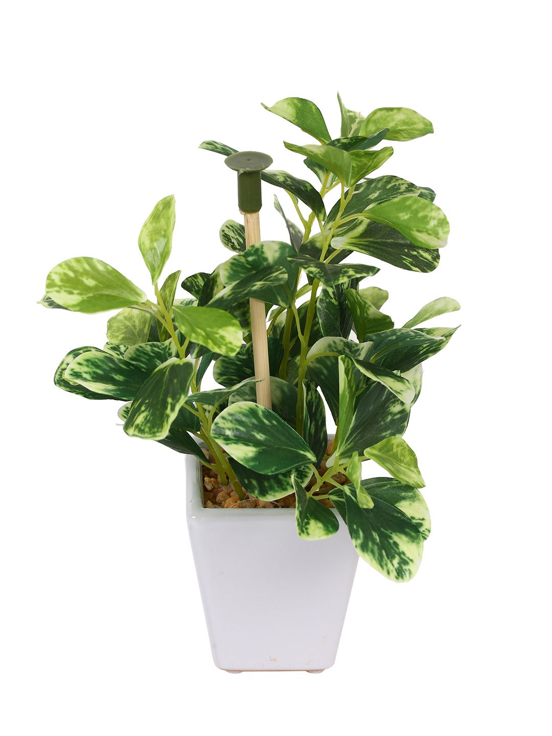 Artificial Wandering Jew Plant (19 cm)