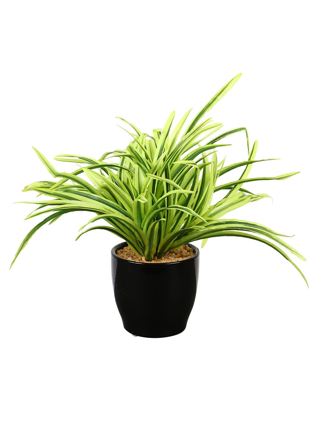 Artificial Dracaena Plant — White Leaves (27 cm)