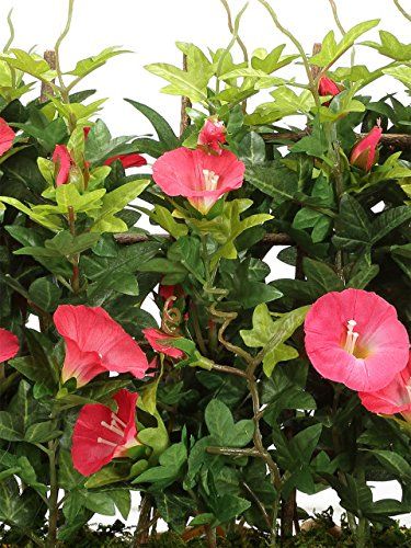 Artificial Morning Glory Plant — Pink (27 cm)