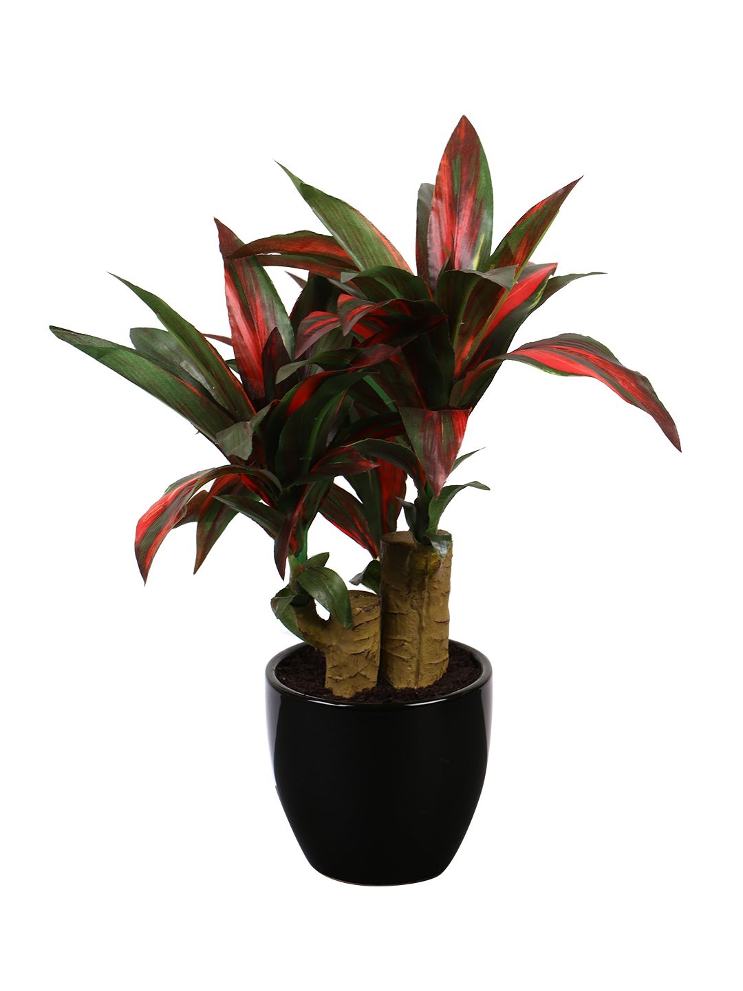 Artificial Dracaena Plant — Green/Red (35 cm)