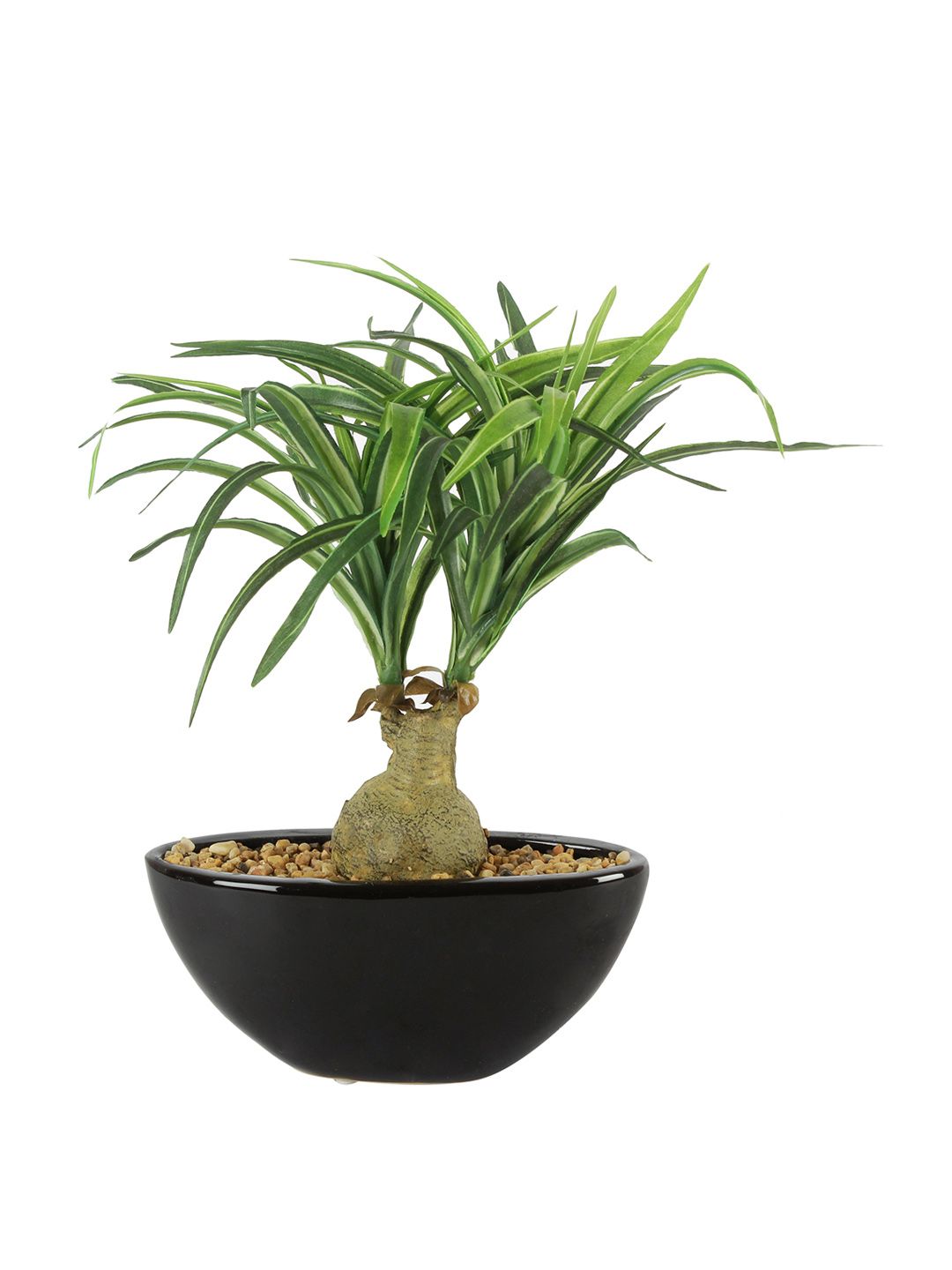 Artificial Nolina Plant — Green/White (29 cm)