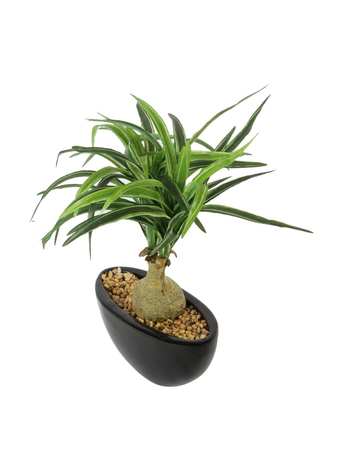 Artificial Nolina Plant — Green/White (29 cm)