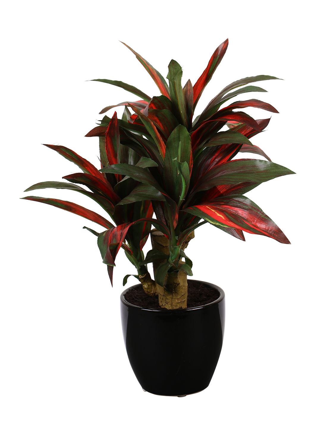 Artificial Dracaena Plant — Green/Red (35 cm)