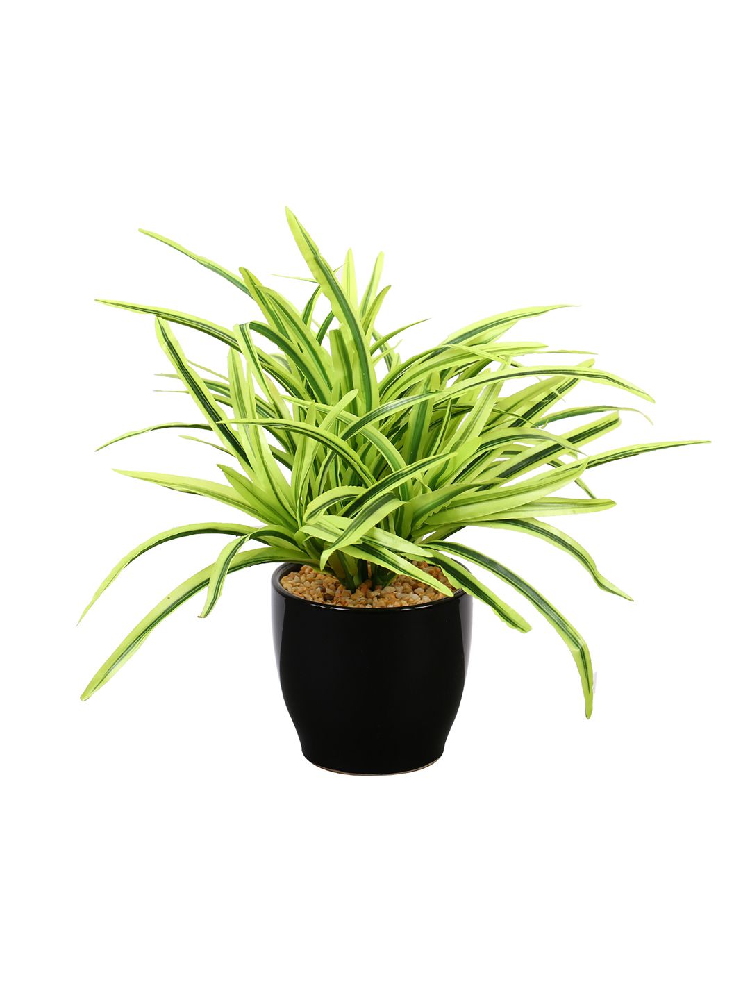 Artificial Dracaena Plant — White Leaves (27 cm)