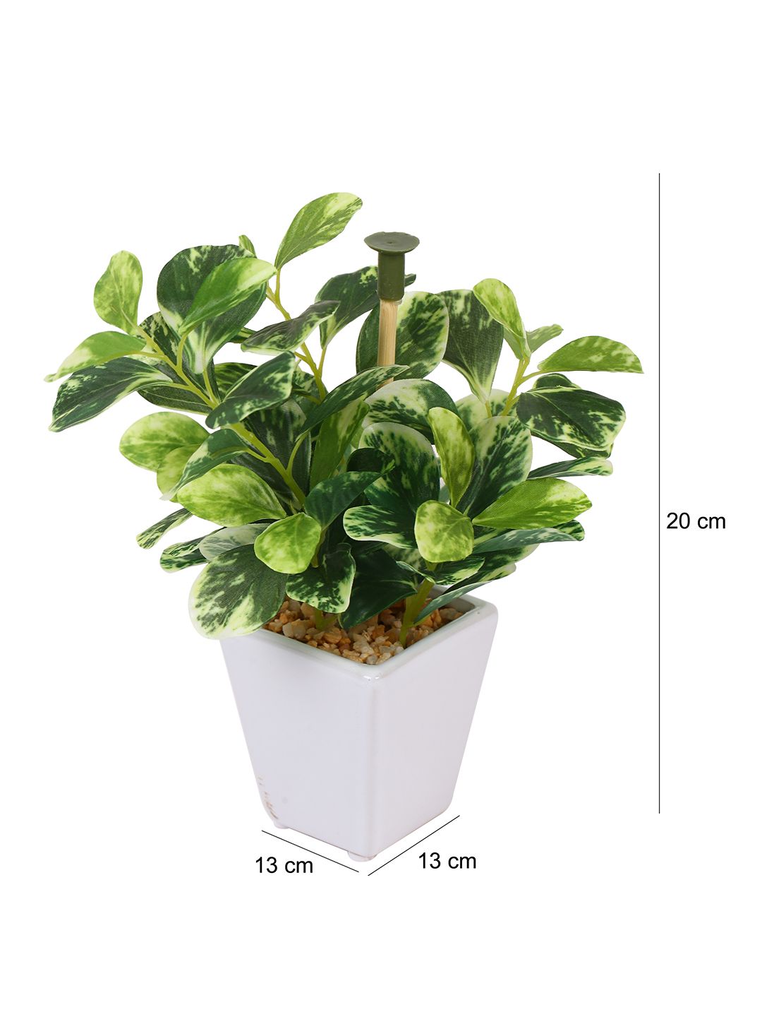 Artificial Wandering Jew Plant (19 cm)